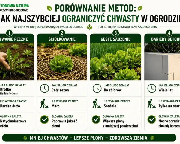 Porównanie metod: jak pozbyć się chwastów na zawsze. Ręczne wyrywanie, ściółkowanie, gęste sadzenie i bariery betonowe.