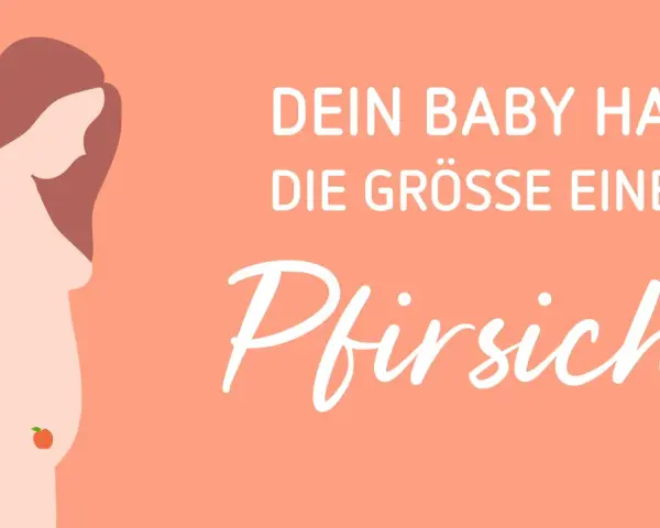 ssw 17: Dein Baby hat die Grösse eines Pfirsichs. Eine schwangere Frau mit einem kleinen Pfirsich auf dem Bauch.