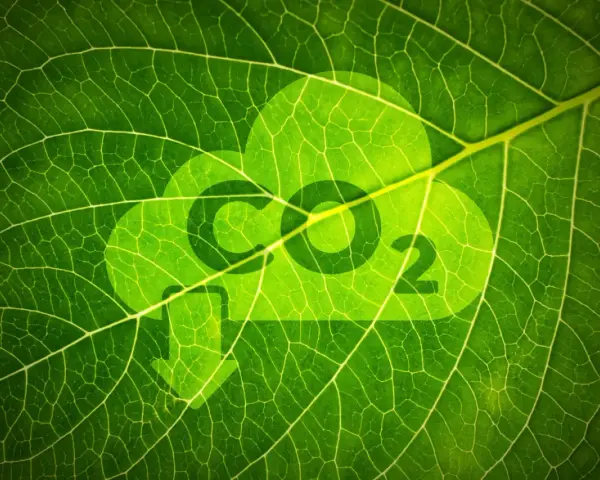 Redukcja emisji CO2: Co musisz wiedzieć o zielonej transformacji?