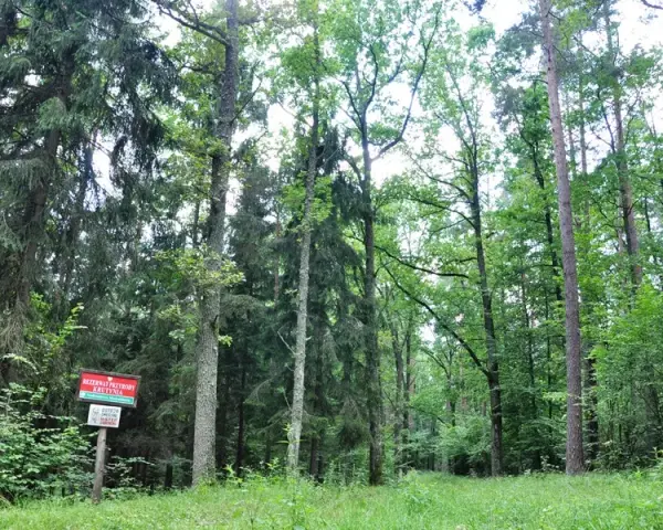 Rezerwat przyrody Krutynia - unikalne atrakcje i dzika przyroda