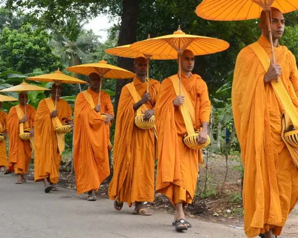 A procession of monks in saffron robes, carrying alms bowls and yellow umbrellas, walk down a road.