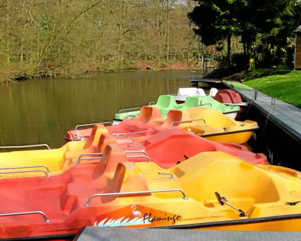 Bunte Tretboote, bereit für eine Fahrt auf dem See in Haltern.