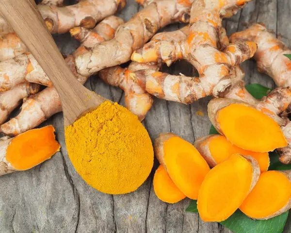 Curcuma fraîche et poudre dorée sur cuillère en bois, évoquant les nombreux curcuma frais bienfaits pour la santé.
