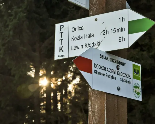 Znaki szlaku PTTK wskazują drogę na Orlicę, Kozią Halę i do Lewina Kłodzkiego. Orlica trasa jest oznaczona zieloną strzałką.