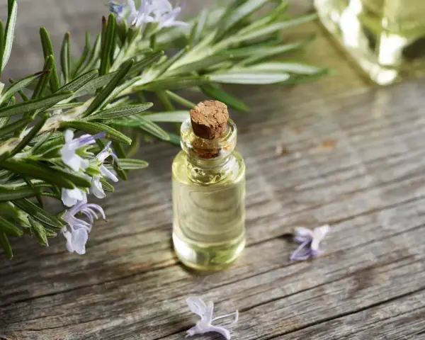 Frischer Rosmarin mit Blüten neben einer kleinen Glasflasche, die zeigt, wie man Rosmarinextrakt herstellen kann.