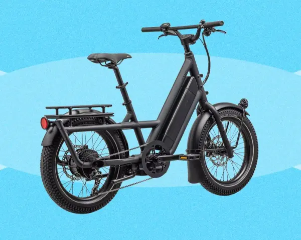 A black electric cargo bike with a long frame and rear rack, perfect for hauling groceries or kids.