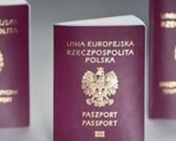 Trzy polskie paszporty w bordowych okładkach z godłem Polski.