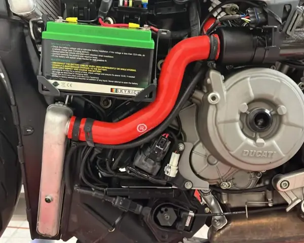 Dettaglio del sistema di raffreddamento motore di una Ducati, con radiatore, tubi rossi e motore in vista.