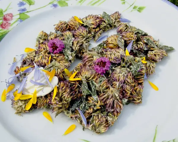 Get inspired for rotklee rezepte! Getrocknete Rotklee-Blüten und Blütenblätter auf einem Teller, garniert mit kleinen lila und gelben Blüten.