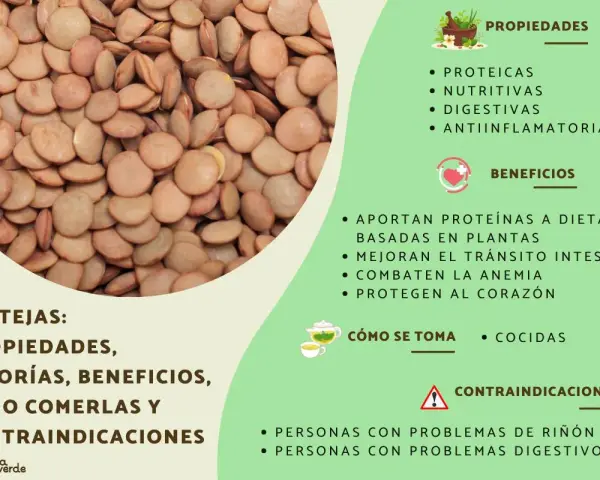 Primer plano de lentejas secas, con información sobre sus propiedades, beneficios y contraindicaciones. Aunque las lentejas engordan si se consumen en exceso, son nutritivas.