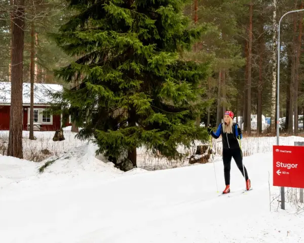 Kvinna på längdskidor vid Moraparken Camping. Röda stugor och granar i bakgrunden.