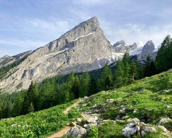 Pfad zum Watzmann. Grüne Almwiesen mit gelben Blumen und Felsen, im Hintergrund der majestätische Watzmann. Perfekt für eine Wanderung.