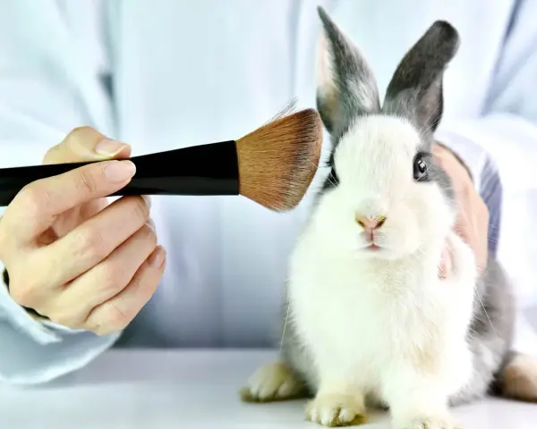 Kosmetik: Tierversuche trotz Verbot? Ihr Guide für den tierfreien Kauf