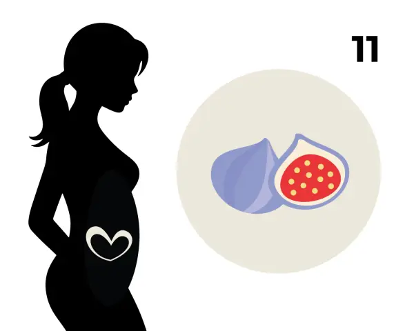 Silhouetten einer schwangeren Frau mit einem Herzsymbol auf dem Bauch. Daneben Feigen, die die 11. SSW symbolisieren.