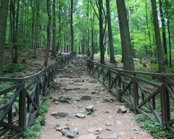 Kamieniste schody wiodące przez las w Górach Świętokrzyskich, otoczone drewnianą balustradą.