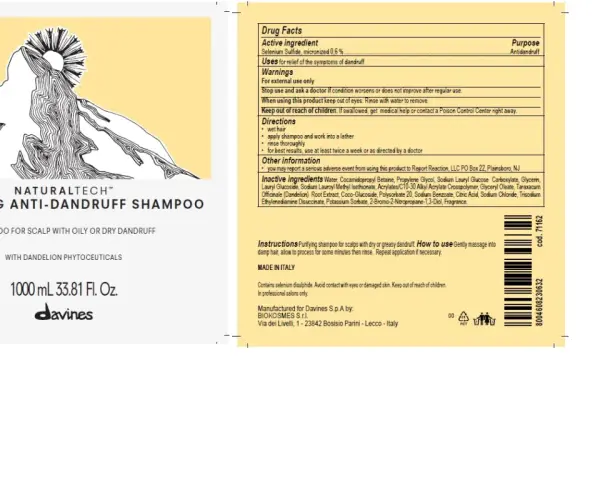 Grafika przedstawia etykietę szamponu przeciwłupieżowego z rysunkiem góry i słońca.
