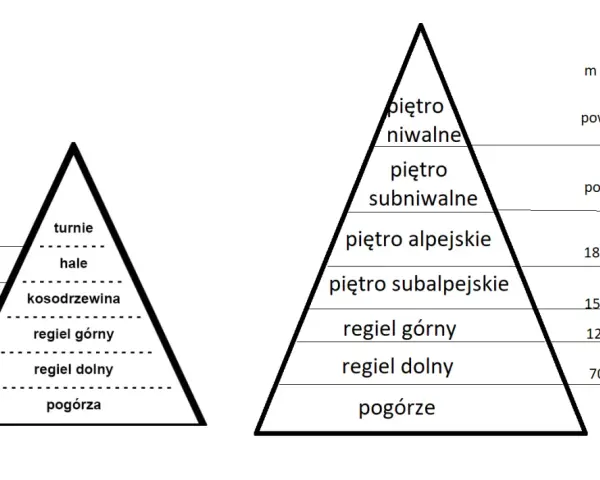 Schemat przedstawia piętra roślinności w Tatrach, od pogórza po piętro niwalne, z podziałem na strefy wysokościowe.