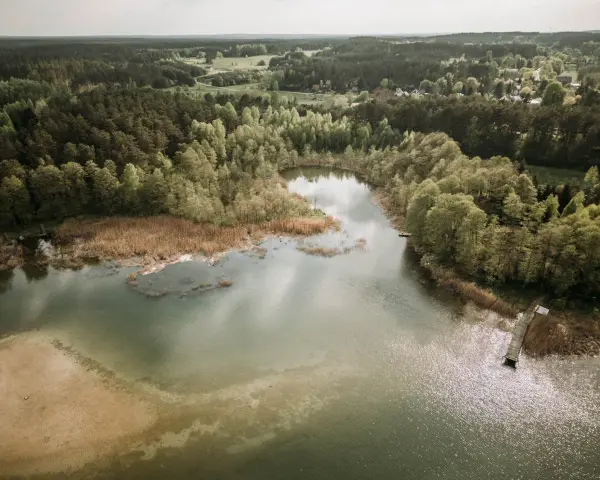 Malownicze jezioro Świętajno otoczone lasami i trzcinami. W oddali widać zabudowania wsi.