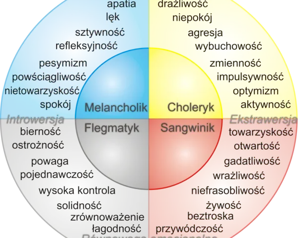 Jaki masz typ osobowości? Odkryj, co mówi o Tobie Twój wynik