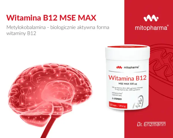 Wsparcie dla mózgu: witamina B12 na co pomaga. Czerwony mózg i opakowanie suplementu diety z witaminą B12.