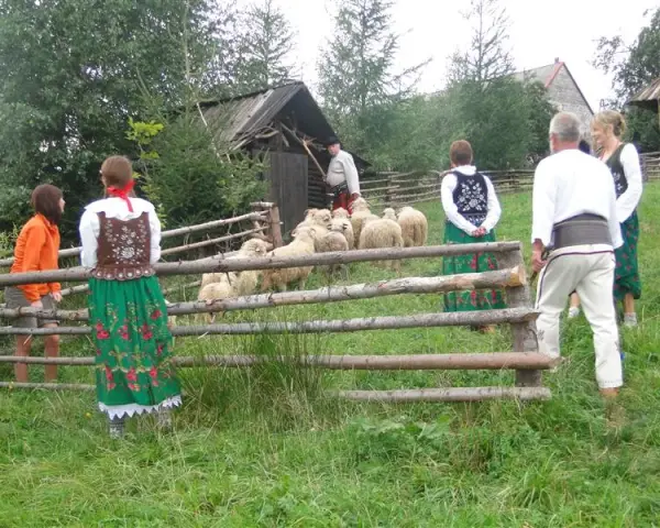 Bacówka Marcówka - wyjątkowe doświadczenie agroturystyczne w górach