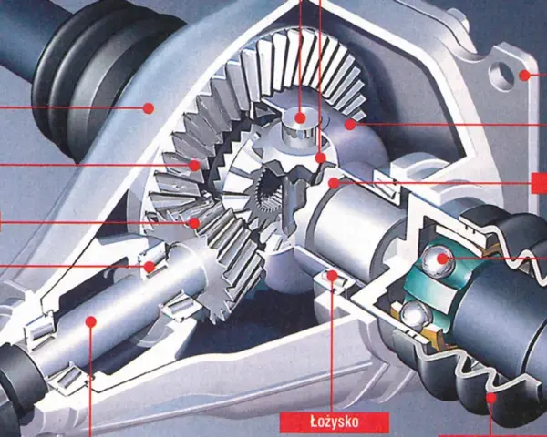 Przekrój mechanizmu dyfer, ukazujący koła zębate, łożyska i półosie.
