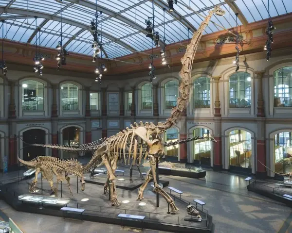 W muzeum prehistorii imponujące szkielety dinozaurów, w tym gigantyczny brachiozaur, przyciągają wzrok pod szklanym dachem.