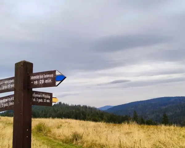 Drewniany drogowskaz w górach, wskazujący szlaki na gorce szczyty. W tle las i zachmurzone niebo.