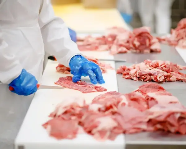 Rodzaje mięsa w kebabie: Jak rozpoznać jakość i unikać 'kuli mocy'?