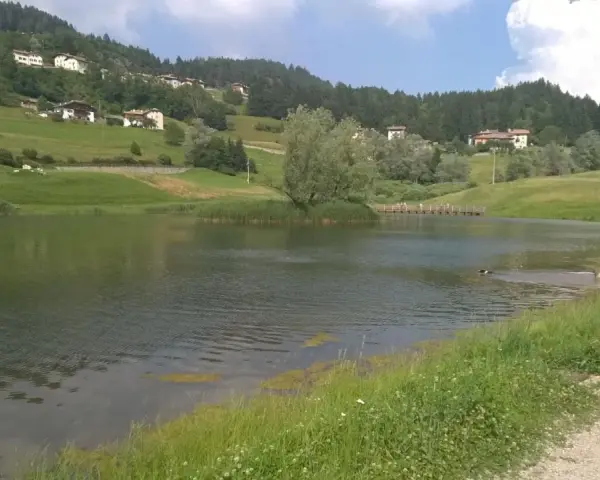 Il lago di Cavareno, con le sue acque tranquille, fa da specchio alle case sui pendii verdi e ai boschi. Due cani giocano felici nell'acqua.