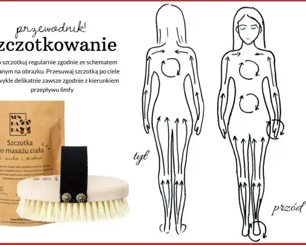 Przewodnik po szczotkowaniu na sucho. Schemat masażu ciała z użyciem szczotki, wskazujący kierunek przepływu limfy.