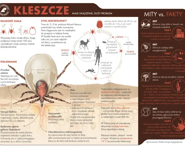 Kleszcz? Jak usunąć bezpiecznie i uniknąć boreliozy!