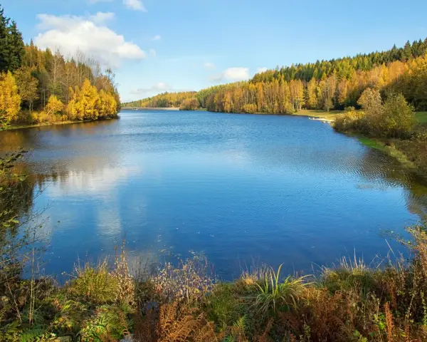 Herbstliche Farben umrahmen die Talsperre Falkenstein. Das Wasser spiegelt den blauen Himmel und die bunten Bäume wider.