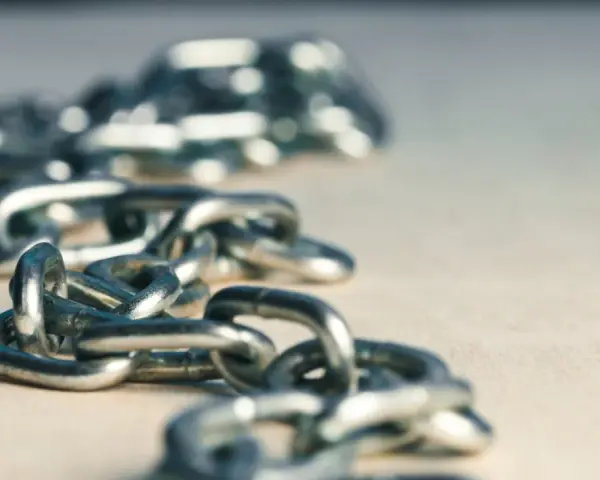 Metalowe szekle tworzą łańcuch, który może symbolizować siłę lub ograniczenia.