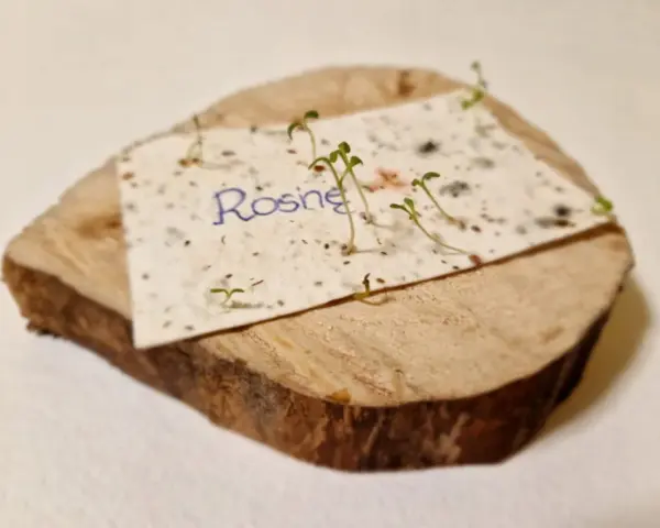 Papier z nasionami "Rosną" na drewnianym krążku, symbolizujący przyczyny sukcesu zaproszeń z motywem ekologicznym.