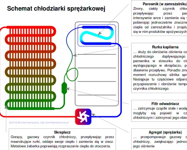 Jak działa lodówka? Odkryj sekrety chłodzenia i oszczędzaj prąd!