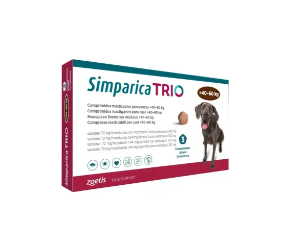 Tribiotic dla psa? Zanim użyjesz: ryzyko i bezpieczne alternatywy