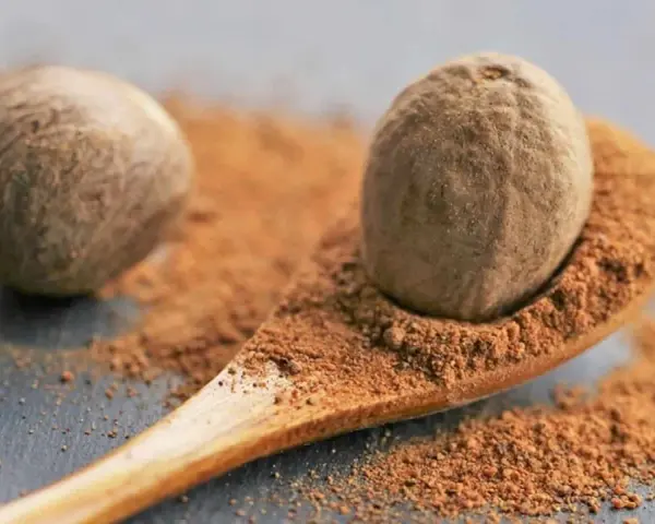 Eine Muskatnuss auf einem Holzlöffel mit gemahlenem Muskatnuss. Vorsicht bei Muskatnuss in der Schwangerschaft.