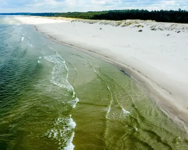 Plaża Słajszewo: szeroka, piaszczysta plaża z zielonymi wodami Bałtyku i lasem w tle. Idealne miejsce na spokojny spacer.