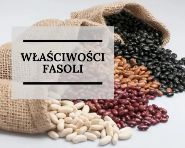 Czy fasola jest dietetyczna? Odkryj jej niesamowite właściwości zdrowotne