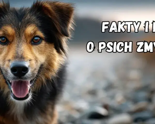 Uroczy piesek z otwartym pyskiem. Tekst na obrazku: "Fakty i mity o psich zmysłach". Poznaj fascynujące ciekawostki o psach!