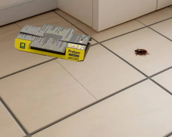 Una cucaracha se encuentra cerca de una caja de trampas adhesivas Preben, lista para desinfectar cucarachas.