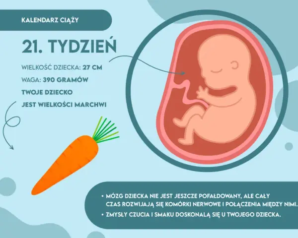 Ile waży dziecko w 21 tygodniu – zaskakujące fakty o wadze płodu