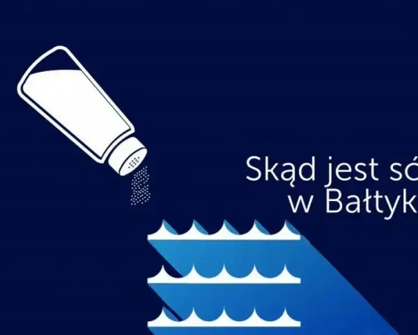 Dlaczego Bałtyk jest słabo zasolony? Odkryj zaskakujące przyczyny