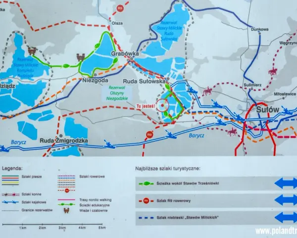 Mapa turystyczna Doliny Baryczy z zaznaczonymi trasami rowerowymi, pieszymi, konnymi i kajakowymi. Wskazuje rezerwaty przyrody i punkty widokowe.