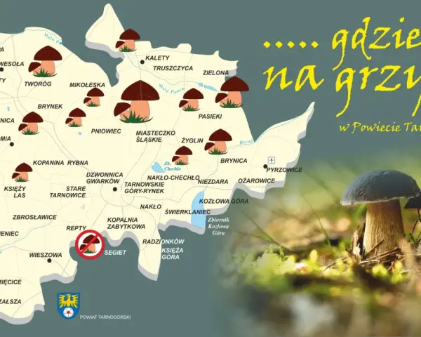 Mapa grzybobrania śląskiego w Powiecie Tarnogórskim. Wskazuje najlepsze miejsca na grzyby, z zaznaczonymi lasami i miejscowościami.