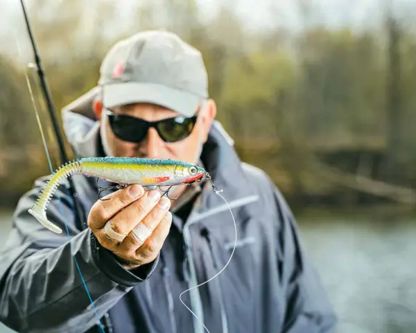 Ein Angler hält einen bunten Gummifisch, ein **big baits hecht** Köder, bereit für den Fang.