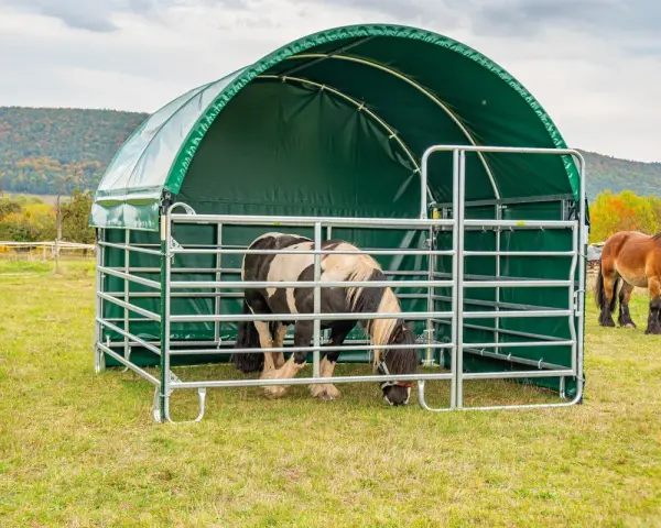 Deux chevaux dans un pré, l'un sous un abri vert. Idéal pour le tarif location pâture pour chevaux.
