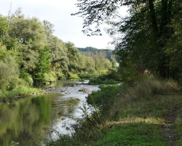 Malowniczy zakręt rzeki, idealny na rowerowy Cieszyn. Zielone drzewa odbijają się w spokojnej wodzie, a ścieżka wije się wśród traw.