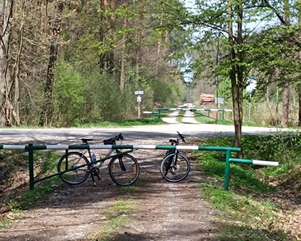 Dwa rowery czekają na odkrycie malowniczych tras rowerowych w Tarnowie. Leśna droga zaprasza do przygody.